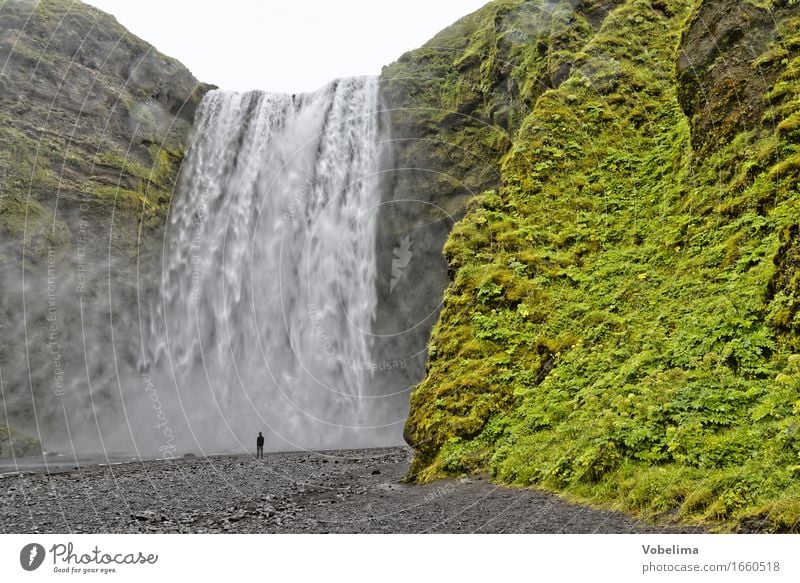 Skogafoss, Island Tourismus Abenteuer Sightseeing Natur Landschaft Urelemente Wasser Wasserfall braun grau grün weiß Farbfoto Außenaufnahme Textfreiraum oben