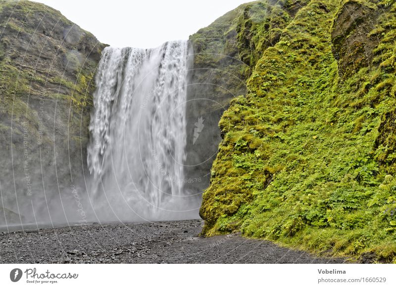 Skogafoss, Island Tourismus Ausflug Abenteuer Ferne Insel Natur Landschaft Urelemente Wasser Schlucht Bach Wasserfall grau grün weiß Farbfoto Außenaufnahme