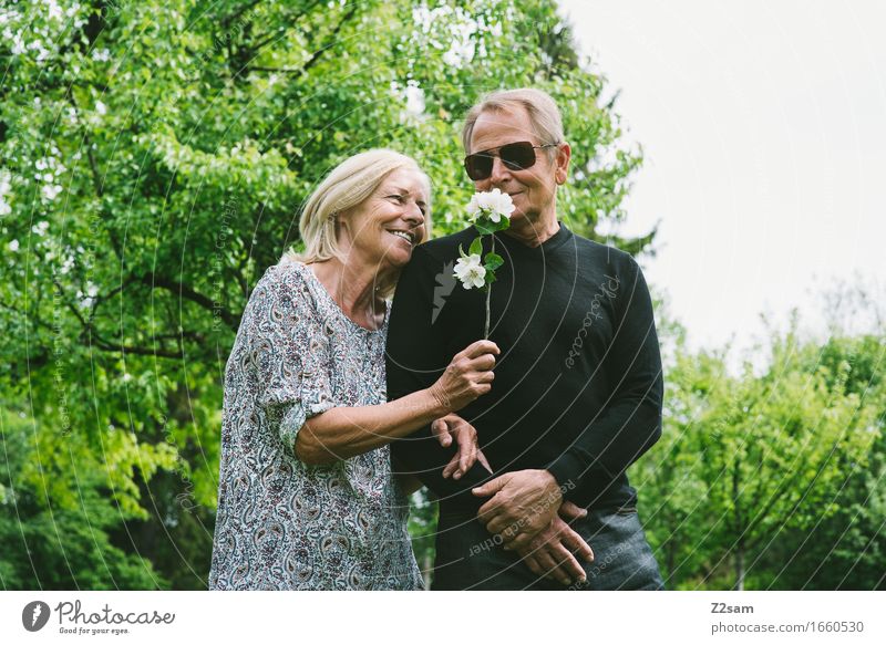 Nur für Dich Natur Landschaft Sommer Schönes Wetter Baum Sträucher Garten Park Sonnenbrille blond genießen Kommunizieren Lächeln lachen alt Gesundheit