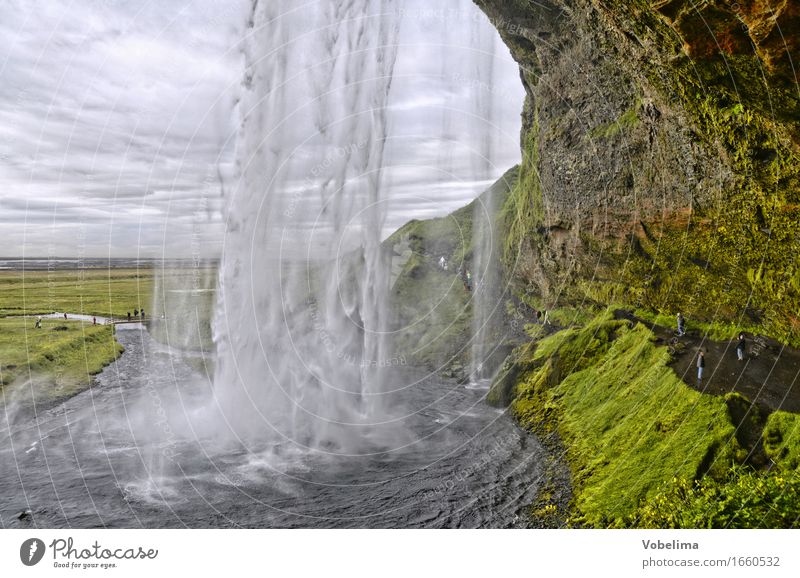 Sejalandsfoss, Island Tourismus Abenteuer Sightseeing wandern Natur Landschaft Urelemente Wasser Wassertropfen Wasserfall braun grau grün weiß Farbfoto