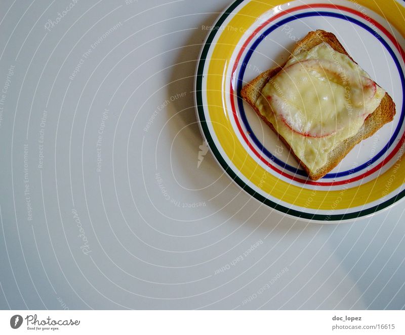 toast! Käse Teller Luftaufnahme lecker Snack kulinarisch Studentenlunch Ernährung Toastbrot Tomate Appetit & Hunger aus dem Backofen fuer Zwischendurch