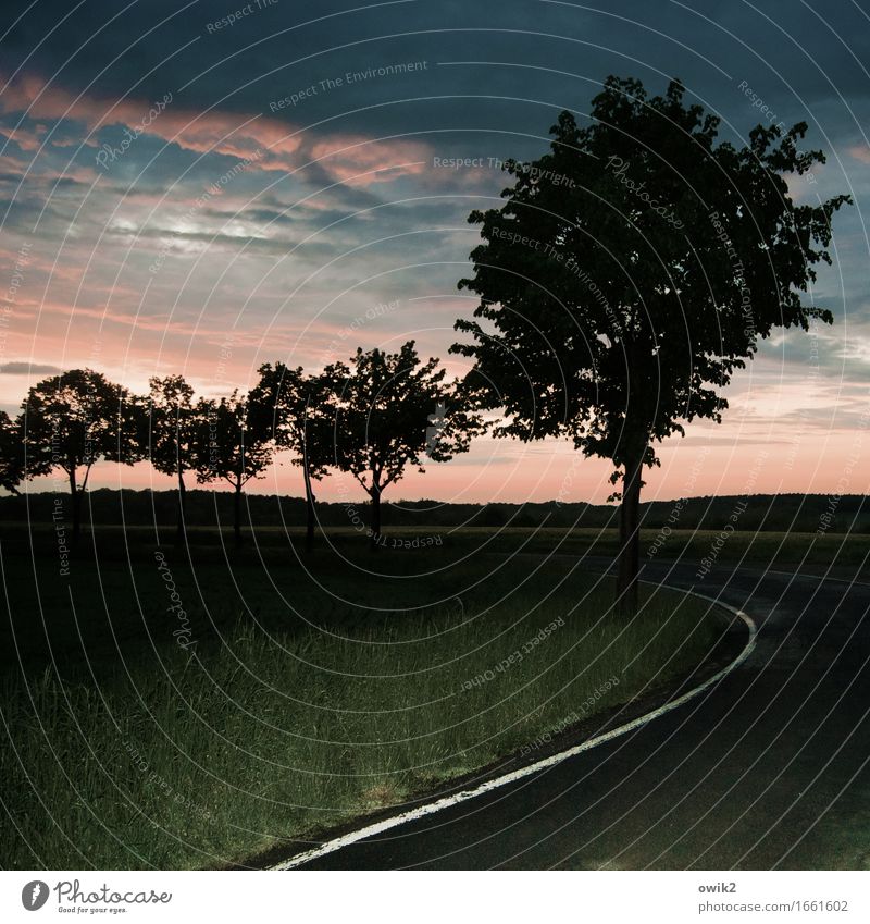 Abendkurve Umwelt Natur Landschaft Pflanze Himmel Wolken Horizont Sommer Schönes Wetter Baum Gras Verkehr Verkehrswege Straße Straßenrand Fahrbahnmarkierung