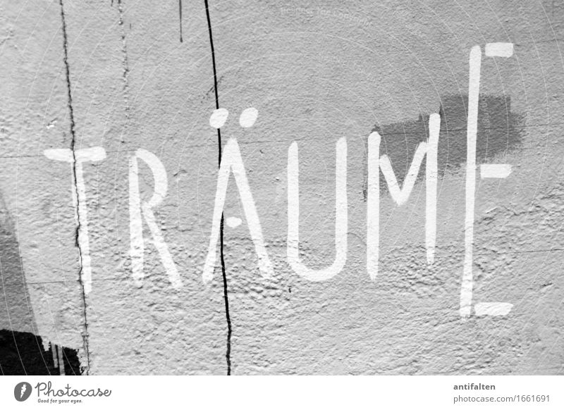 Träume Kunst Ausstellung Graffiti Typographie Medien Printmedien lesen Mauer Wand Fassade Schriftzeichen Linie träumen traumhaft streichen Unendlichkeit