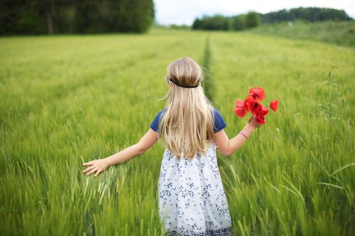 durchs Feld streifen Mensch feminin Kind Mädchen Kindheit 1 3-8 Jahre Umwelt Natur Frühling Sommer Schönes Wetter Pflanze Blume Mohn entdecken Erholung