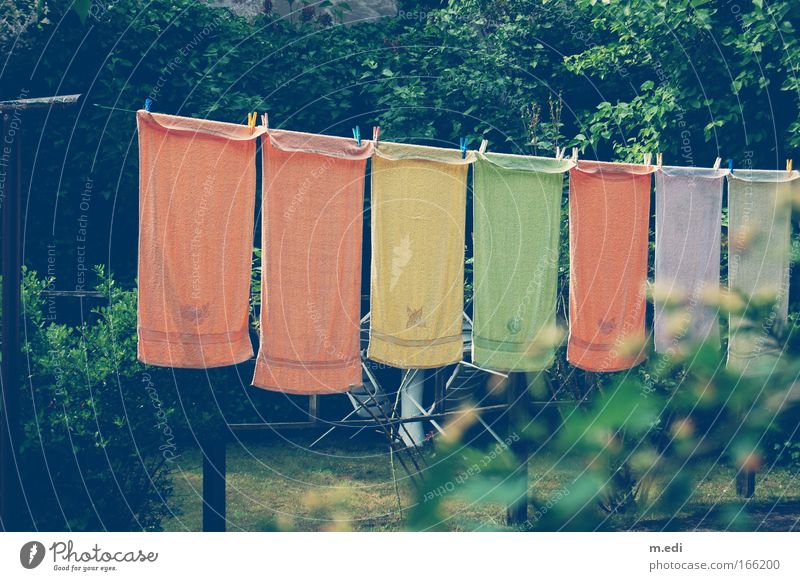 Die Gehängten Farbfoto Tag Gras Sträucher Garten Handtuch Wäscheleine gut Haushaltsführung
