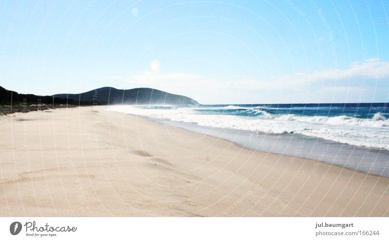 Strand Booti Booti N.P. Farbfoto Außenaufnahme Menschenleer Tag Licht Silhouette Totale Natur Landschaft Urelemente Sand Luft Wasser Himmel Sommer