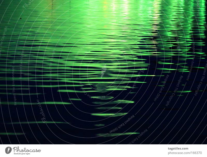 GRÜN JETZ', NE?! Wasser grün Reflexion & Spiegelung Licht Wellen Teich See Lichtspiel Wasserlichtspiele schwarz Außenaufnahme Textfreiraum Textfreiraum überall