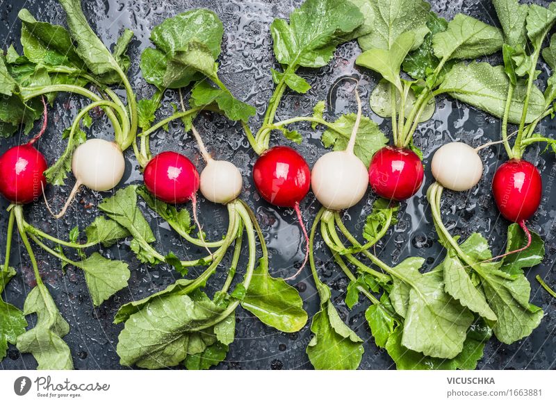 Bio Radieschen aus dem Garten Lebensmittel Gemüse Ernährung Bioprodukte Vegetarische Ernährung Diät Stil Design Gesunde Ernährung Sommer Tisch Natur