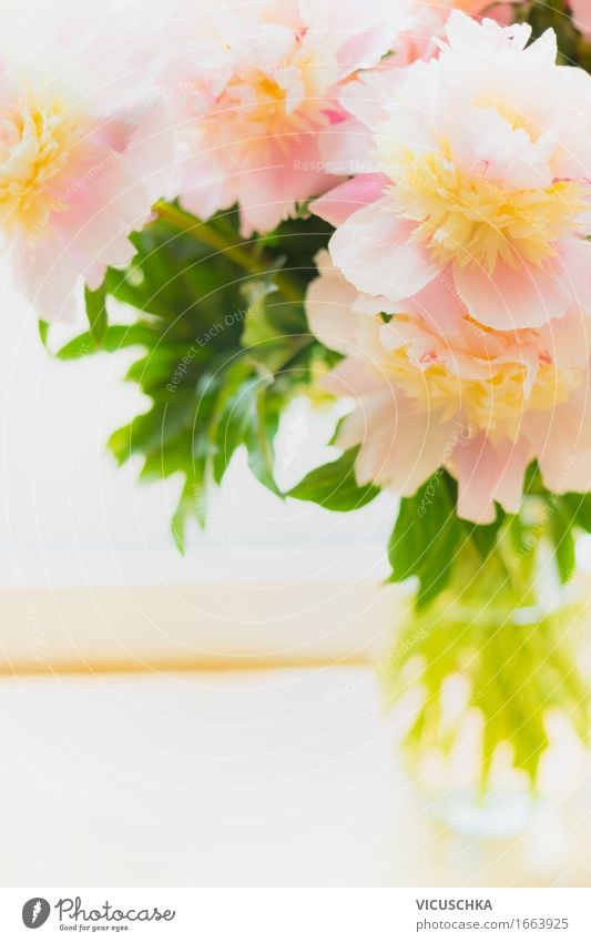 Schöne pastel Pfingstrosen in Glasvase Lifestyle Stil Häusliches Leben Wohnung Innenarchitektur Dekoration & Verzierung Feste & Feiern Natur Pflanze Blume Rose