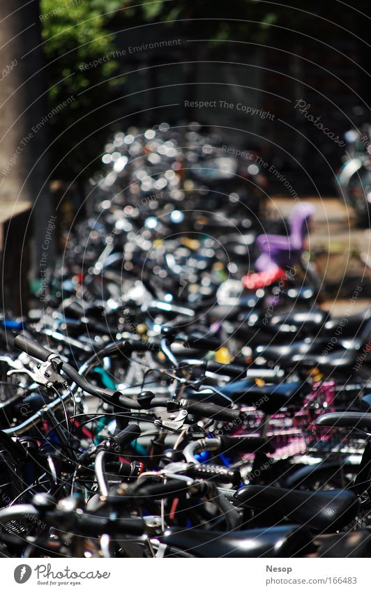 Bikes Farbfoto Außenaufnahme Nahaufnahme Tag Sonnenlicht Unschärfe Schwache Tiefenschärfe Zentralperspektive Fahrrad Schönes Wetter Stadt Menschenleer fahren