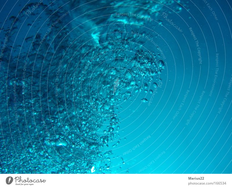 Luftblasen Farbfoto Unterwasseraufnahme abstrakt Muster Strukturen & Formen Textfreiraum rechts tauchen Meer Wasserblase blau grün aufsteigen Aufsteiger Ägypten
