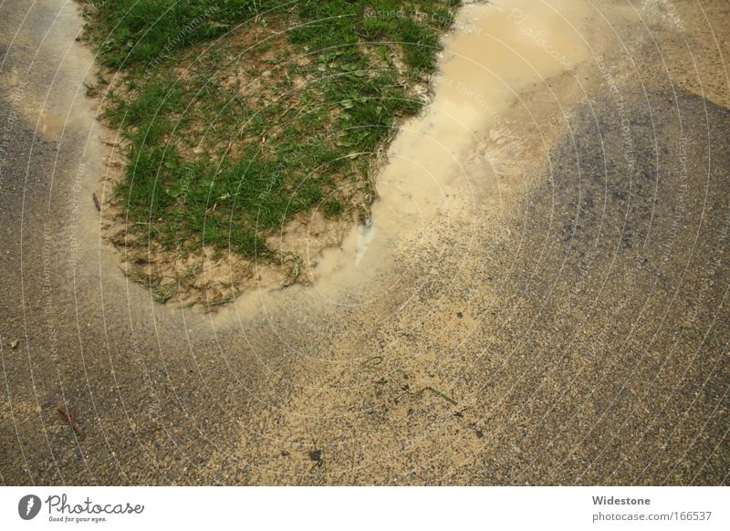 Asphalt Island Farbfoto Außenaufnahme Menschenleer Textfreiraum unten Abend Starke Tiefenschärfe Zentralperspektive Blick nach unten Natur Pflanze Erde Wasser