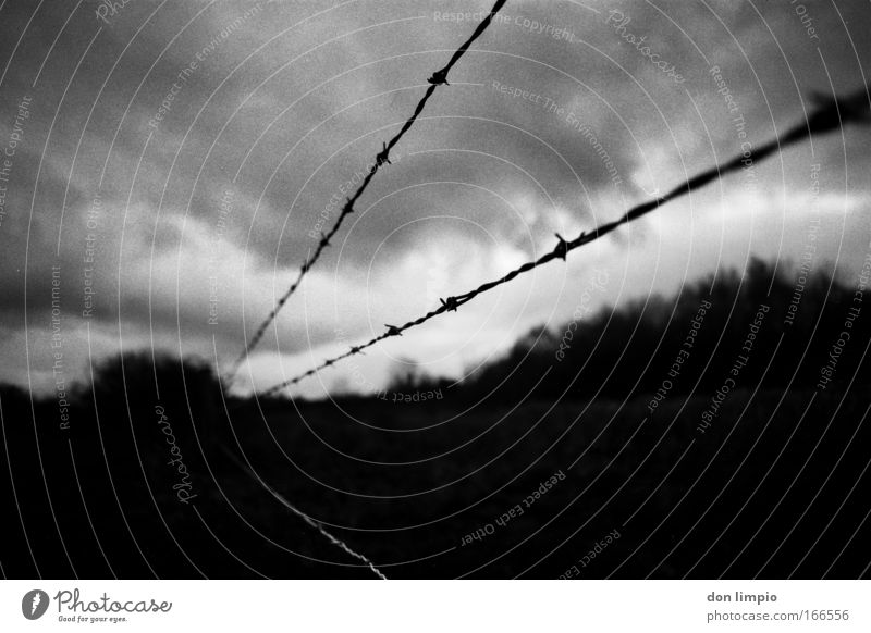 verfluchtes land Schwarzweißfoto Außenaufnahme Detailaufnahme Dämmerung Kontrast Schwache Tiefenschärfe Zentralperspektive Weitwinkel Umwelt Wolken