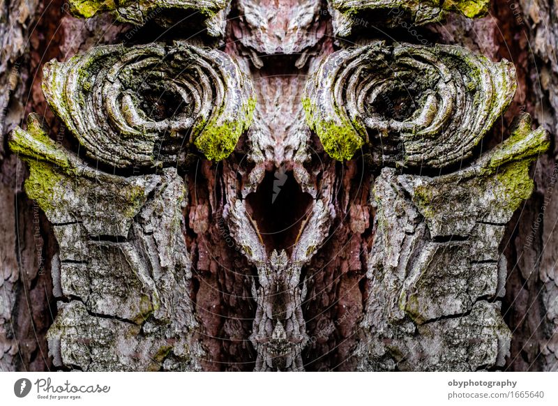 Dämonen und Bäume Gesicht Zufriedenheit Meditation Tier Baum Wildtier Totes Tier Vogel Schlange Tiergesicht Krallen Pfote 3 dunkel fantastisch gruselig nerdig