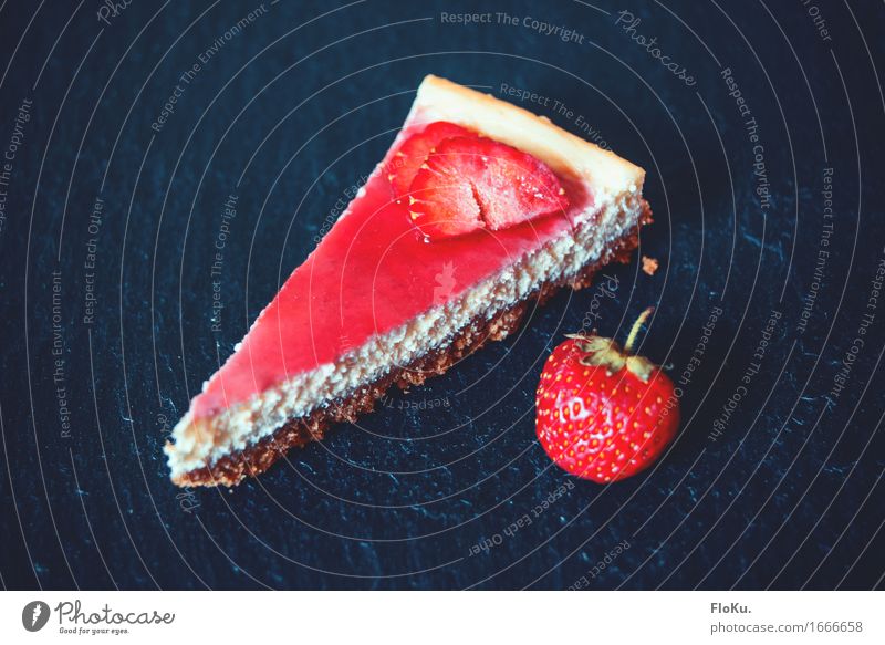 Strawberry-Cheesecake Lebensmittel Teigwaren Backwaren Kuchen Dessert Süßwaren Ernährung Kaffeetrinken Vegetarische Ernährung frisch schön lecker süß blau rot
