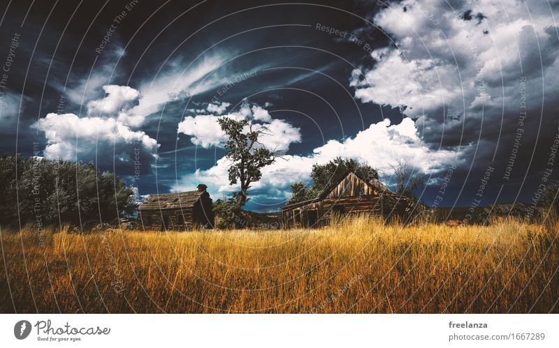 Stürmische Hütte Landschaft Himmel Wolken Gewitterwolken Herbst Gras Wiese Feld Menschenleer Dach Holz blau braun gelb gold Abenteuer Baum Farbfoto
