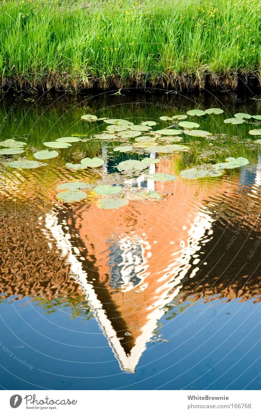 Wasserhäuschen Farbfoto mehrfarbig Außenaufnahme Tag Natur Schönes Wetter Pflanze Gras Flussufer See Heimweh