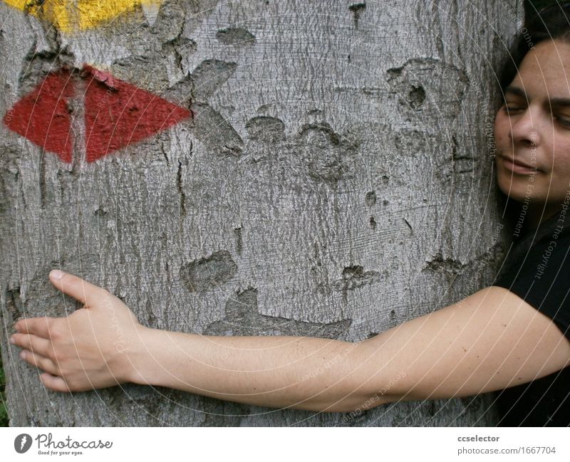 Eine junge Frau umarmt einen Baum Umwelt Natur Wald Zeichen Pfeil Stimmung achtsam Partnerschaft Frieden Zufriedenheit Nachhaltigkeit Verträumtheit harmonisch
