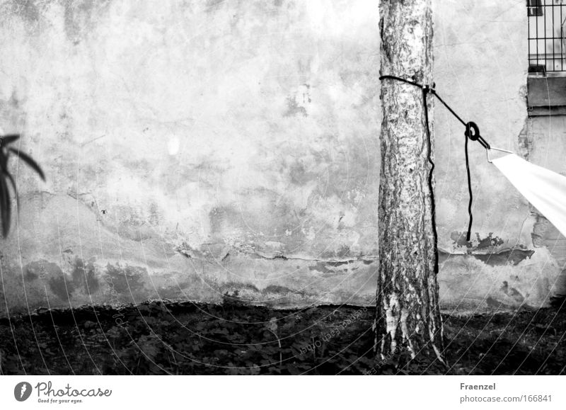 Oasenchill Schwarzweißfoto Außenaufnahme Menschenleer Tag Pflanze Baum Garten schaukeln schlafen tragen träumen Gelassenheit Pause ruhig