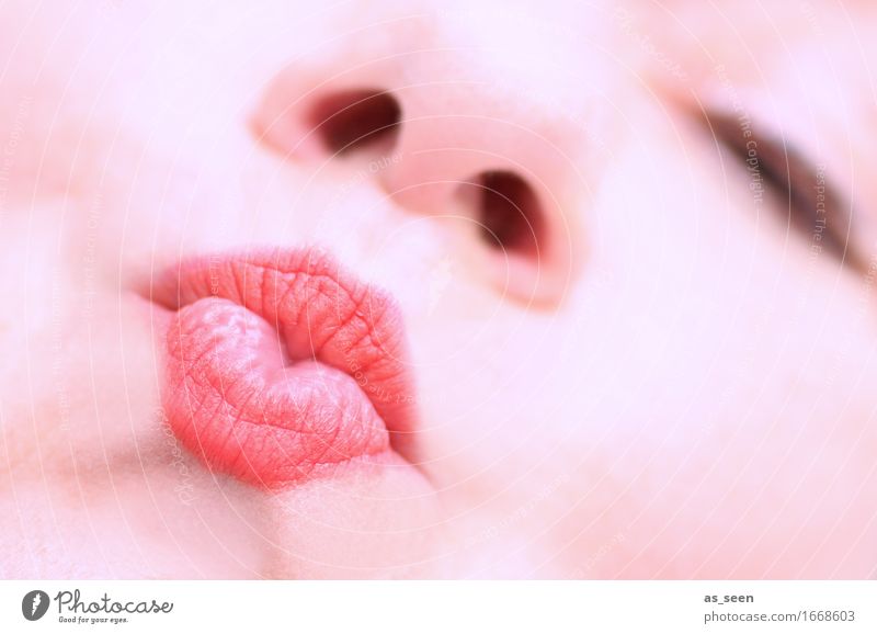 Kiss Glück schön Körperpflege Kosmetik Lippenstift Leben Valentinstag Hochzeit feminin Frau Erwachsene Mund 1 Mensch Küssen hell nah positiv Wärme weich rosa