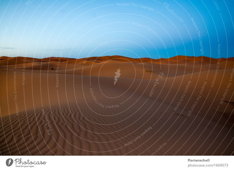 Sahara Wüste bei Sonnenuntergang, Marokko Sommer exotisch Unendlichkeit Stimmung schön Farbfoto Außenaufnahme Menschenleer Abend