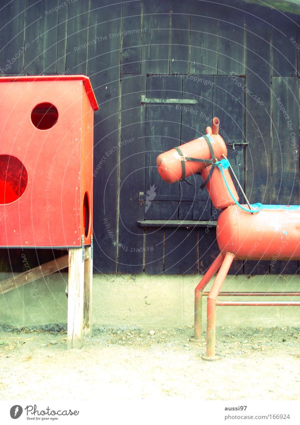Reiterliche Vereinigung Farbfoto Außenaufnahme Menschenleer Textfreiraum oben Freizeit & Hobby Reitsport Reiten Tier Pferd 1 Metall Tierfigur Attrappe