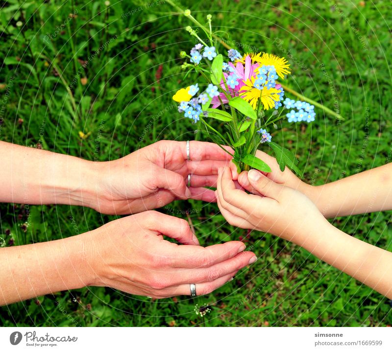 Hände geben Blumenstrauß Glück Haare & Frisuren Gesicht lesen Sommer Sonne Garten Muttertag Kind Mädchen Hand Finger Instant-Messaging Natur Pflanze Frühling