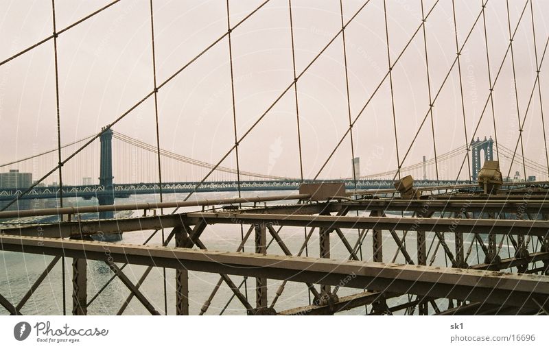 Das Netz der ... Brücke Brooklyn Bridge Meer New York City Metall Drahtseil