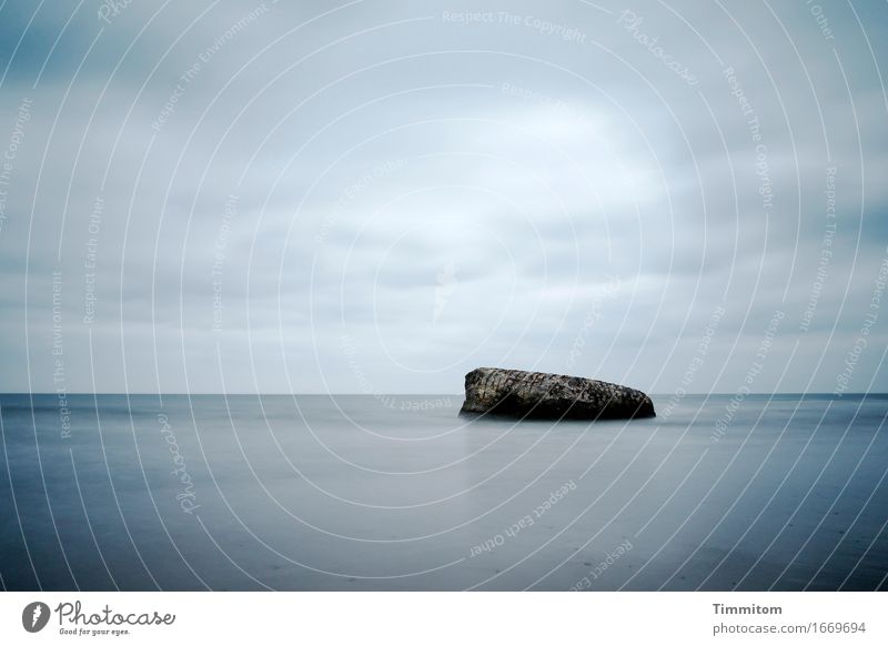 Om... Umwelt Landschaft Urelemente Wasser Nordsee Dänemark Bunker Beton ästhetisch blau schwarz ruhig Meditation Farbfoto Außenaufnahme Menschenleer Tag