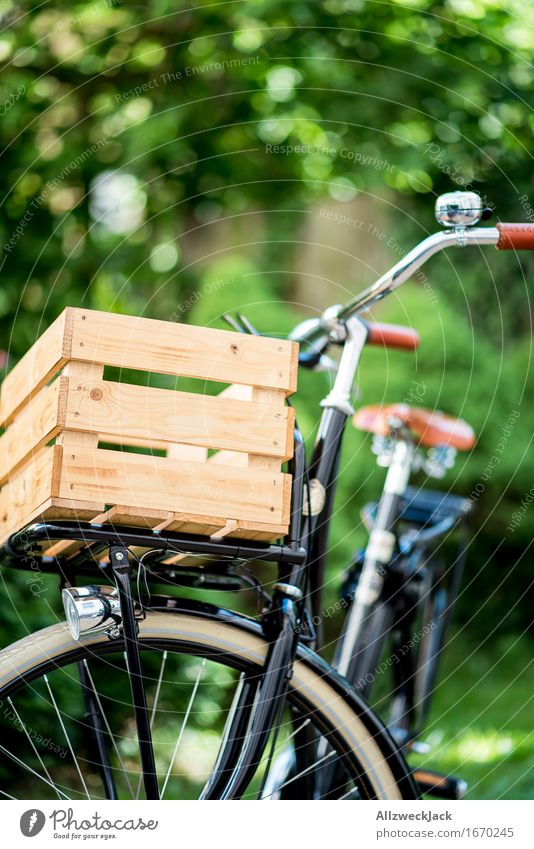 Hollandrad-Porn 1 Fahrradfahren ästhetisch trendy retro grün schwarz Mobilität nachhaltig Güterverkehr & Logistik Transportfahrzeug Fahrradporn Farbfoto