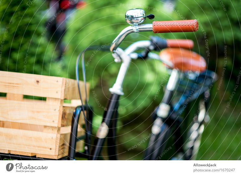 Hollandrad-Porn 2 Fahrradfahren ästhetisch trendy retro grün schwarz Mobilität nachhaltig Güterverkehr & Logistik hollandrad Transportfahrzeug Fahrradporn