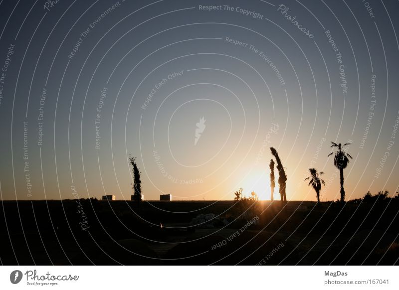 sunsetlisboa Farbfoto Außenaufnahme Menschenleer Textfreiraum oben Textfreiraum unten Dämmerung Sonnenlicht Sonnenaufgang Sonnenuntergang Landschaft Himmel