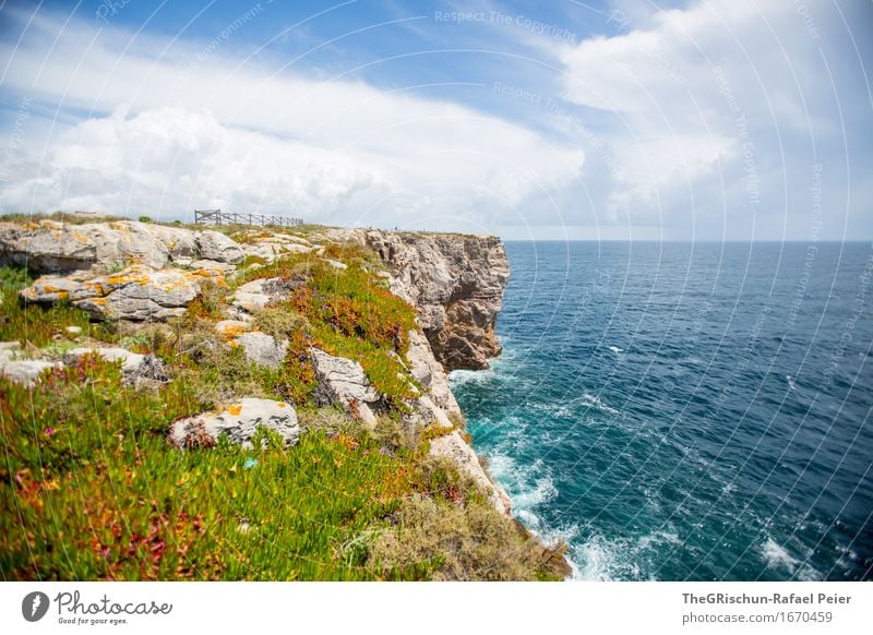 Küstenwiese Umwelt Natur Landschaft Wasser Himmel Wolken blau braun gelb grün schwarz türkis weiß Algarve Portugal Ferien & Urlaub & Reisen Klippe Blume Stein