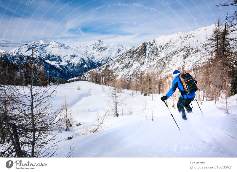 Wintersport: Mannskifahren im Puderschnee. Lifestyle Freude Erholung Ferien & Urlaub & Reisen Tourismus Abenteuer Schnee Berge u. Gebirge Sport Skifahren Mensch