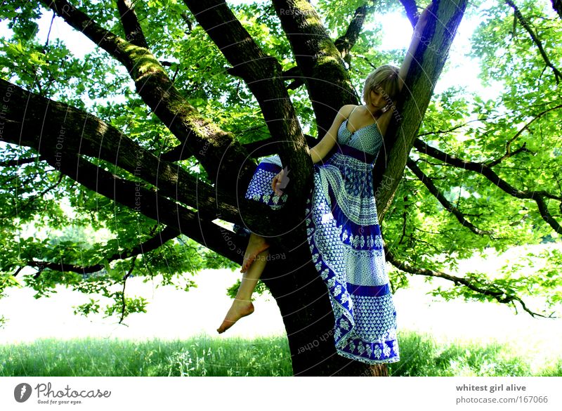 new love grows on trees. Farbfoto Außenaufnahme Tag Zentralperspektive Blick nach unten Mensch feminin Junge Frau Jugendliche Denken warten Gefühle Gedanke