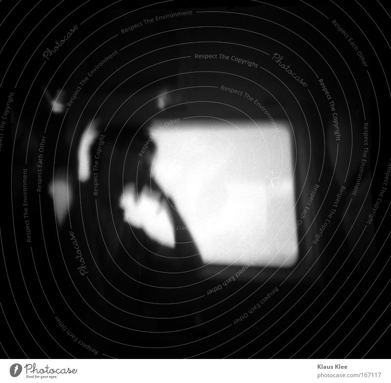 THE NOISE GOES AROUND : Schwarzweißfoto Nahaufnahme Makroaufnahme Polaroid Strukturen & Formen Textfreiraum links Textfreiraum oben Textfreiraum Mitte exotisch