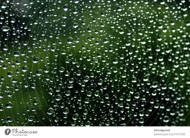 A Million Teardrops Farbfoto Außenaufnahme Innenaufnahme Detailaufnahme Menschenleer Schatten Kontrast Reflexion & Spiegelung Umwelt Natur Wasser Wassertropfen