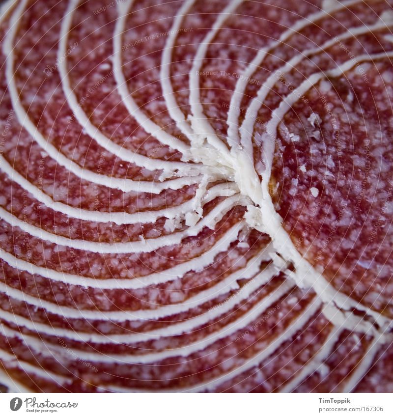 Tolle Wurst #1 Makroaufnahme Menschenleer Vogelperspektive Lebensmittel Fleisch Wurstwaren Ernährung Fett ungesund Salami Spirale Wendeltreppe Fleischfresser