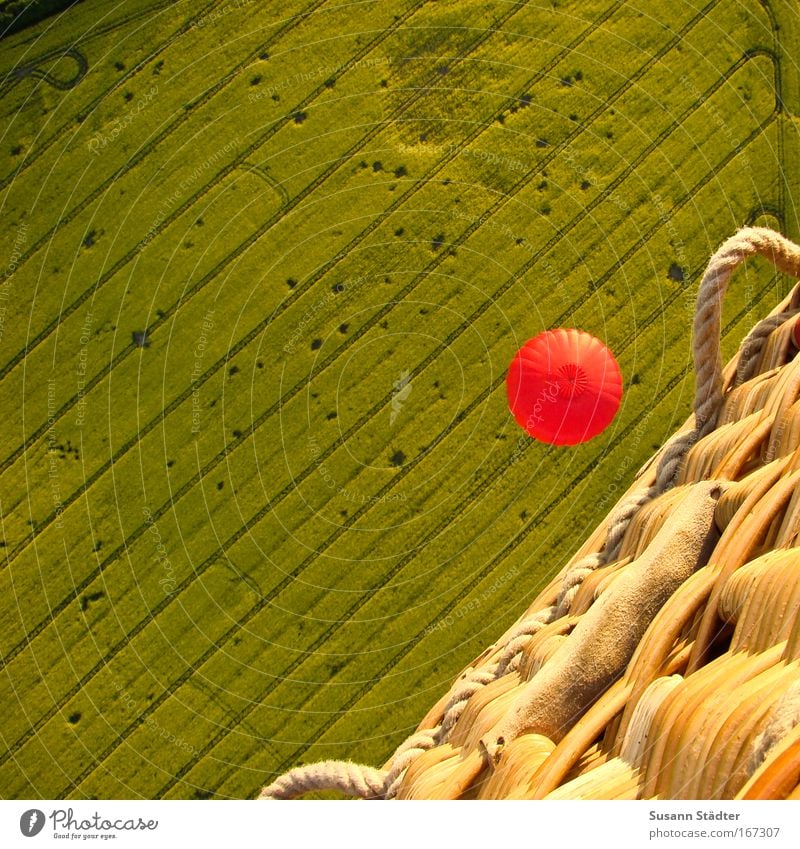 Fly over the Rapsfeld Farbfoto mehrfarbig Außenaufnahme Luftaufnahme Muster Strukturen & Formen Menschenleer Textfreiraum links Textfreiraum oben Tag Kontrast
