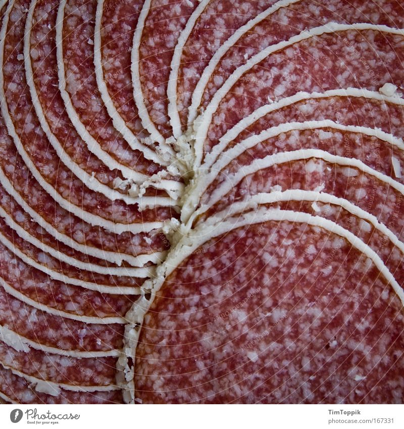 Tolle Wurst #2 Makroaufnahme Menschenleer Vogelperspektive Lebensmittel Fleisch Wurstwaren Ernährung Fett ungesund Salami Spirale Wendeltreppe Fleischfresser