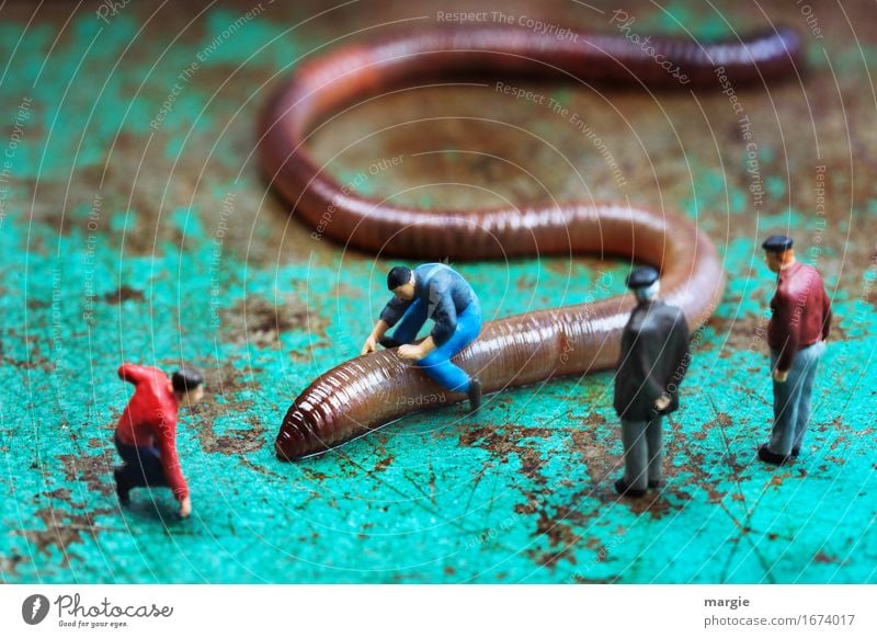 Miniwelten - Wurmreiter 500 maskulin Mann Erwachsene 4 Mensch Tier Wildtier braun türkis Publikum Reiten Regenwurm üben Querformat Miniatur Figur Schlange