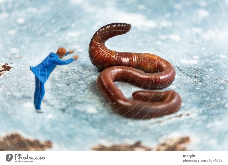 Miniwelten - Der Schlangenbeschwörer Abenteuer maskulin Mann Erwachsene 1 Mensch Tier Wildtier Wurm beobachten blau braun Mut gefährlich Regenwurm