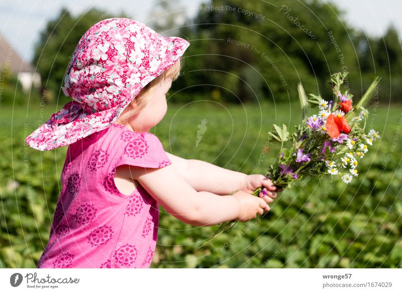 Blümchen für Mutti II Sommer Mensch feminin Kind Kleinkind Mädchen Leben 1 1-3 Jahre rennen Glück grün rosa rot Kleid Mütze Blumenstrauß Wiesenblume Feld