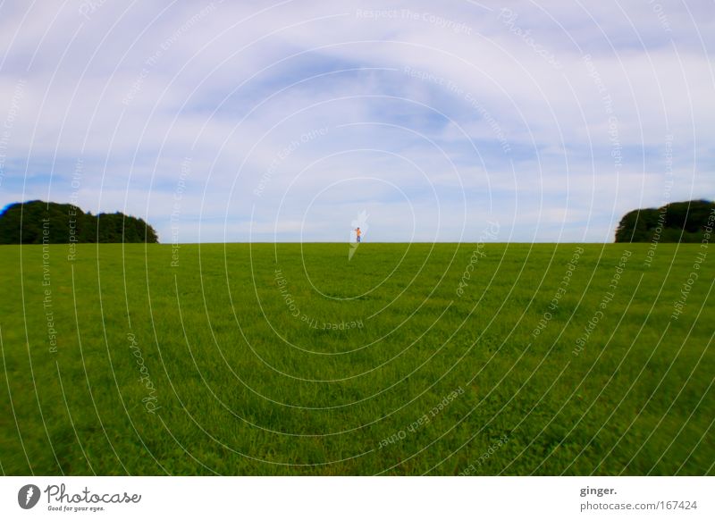 Ganz weit weg (Junge auf einer Wiese in der Ferne) Mensch maskulin 1 Landschaft Himmel Frühling Schönes Wetter Gras Sträucher Freiheit geteilt blau grün