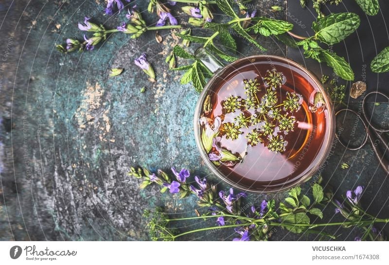 Tasse Kräutertee auf dunklem Hintergrund Lebensmittel Kräuter & Gewürze Getränk Heißgetränk Tee Stil Design Gesundheit Gesundheitswesen Alternativmedizin