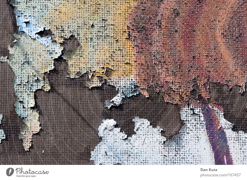 Schönes Hautbild Farbfoto Gedeckte Farben Außenaufnahme Nahaufnahme Detailaufnahme Experiment abstrakt Strukturen & Formen Menschenleer Textfreiraum oben Tag