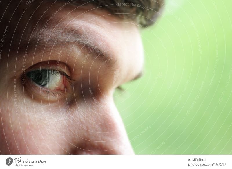 Augen-Blick Haut Gesicht maskulin Mann Erwachsene Nase 1 Mensch beobachten Denken natürlich klug grün Neugier Identität Farbfoto Innenaufnahme Nahaufnahme