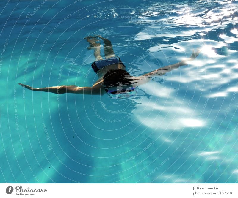 Manta Unterwasseraufnahme Tag Tageslicht Vogelperspektive harmonisch Swimmingpool baden schwimmen Sommerurlaub Wassersport tauchen Schwimmbad
 Kind Junge Mensch