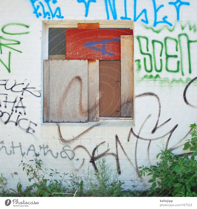 dichtung Menschenleer Tag Umwelt Natur Pflanze Sträucher Grünpflanze Mauer Wand Fassade Garten Fenster Graffiti Häusliches Leben Zerstörung Jugendkultur