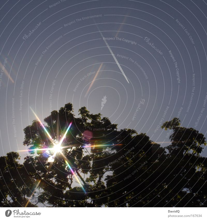 die abendliche Lasershow Farbfoto Außenaufnahme Experiment Textfreiraum oben Abend Dämmerung Licht Silhouette Lichterscheinung Sonnenlicht Sonnenstrahlen